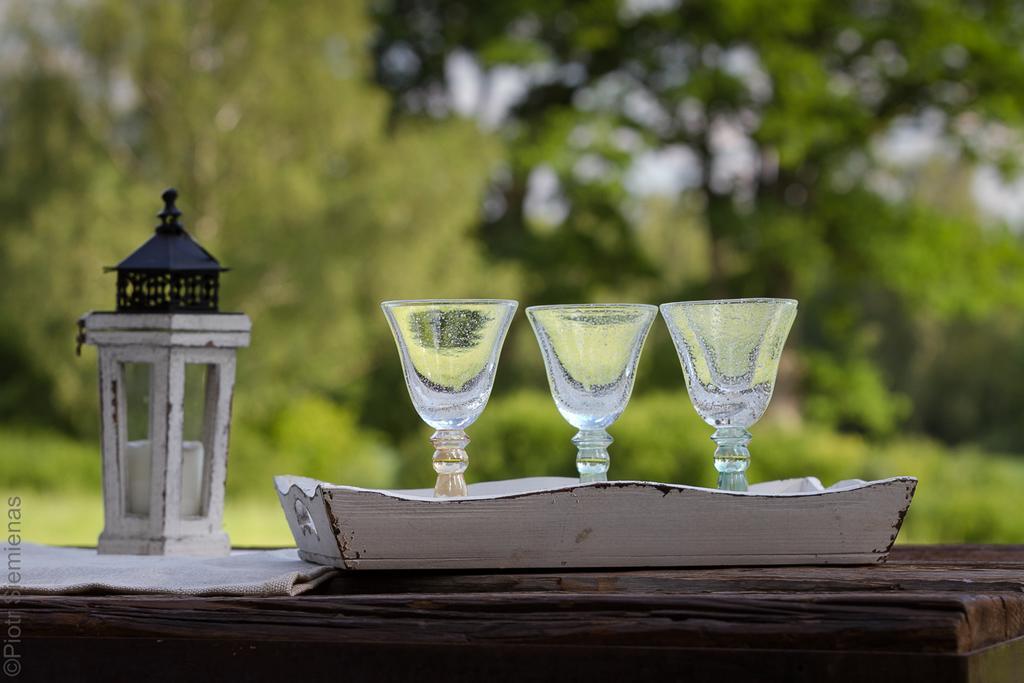 Dwor Dawidy Bed & Breakfast Mlynary Dış mekan fotoğraf