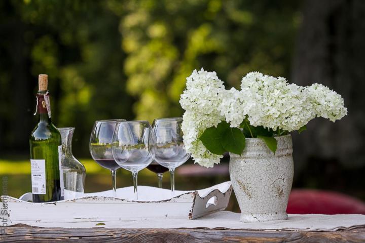 Dwor Dawidy Bed & Breakfast Mlynary Dış mekan fotoğraf